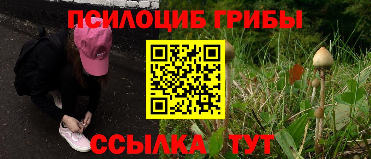 Галлюциногенные грибы мухоморы Петрозаводск